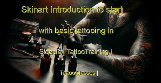 Skinart Introduction to start with basic tattooing in Siqaale | TattooTraining | TattooClasses | SkinartTraining-Somalia
